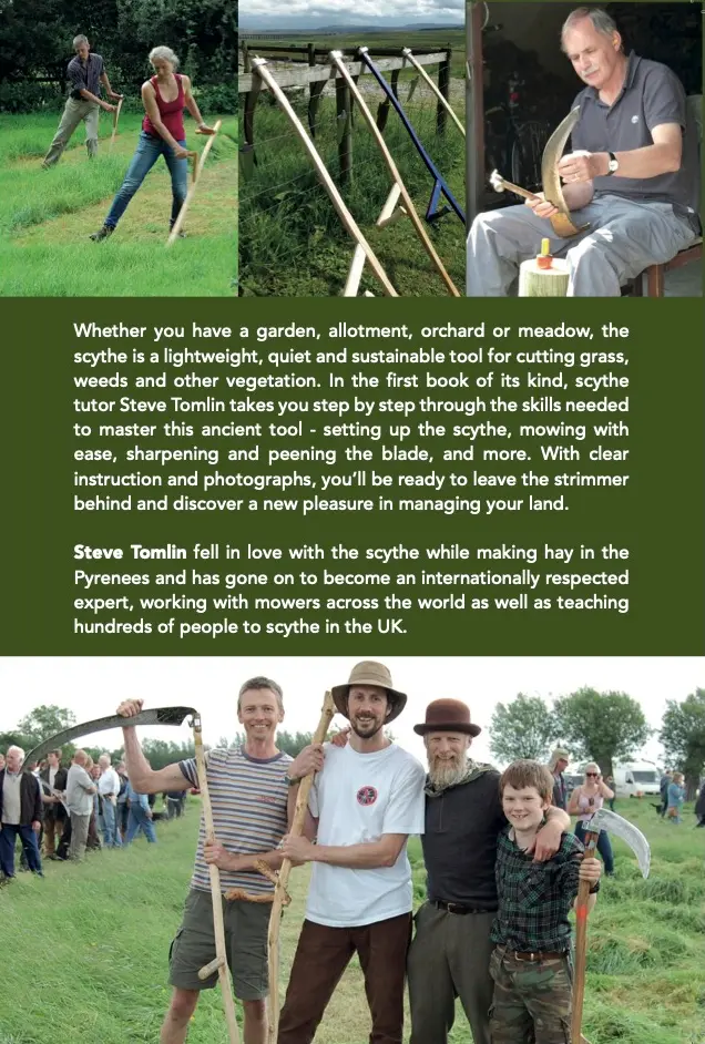 Learn to Scythe back.webp