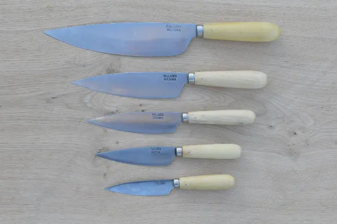 Couteau de cuisine 22cm en acier carbone et buis