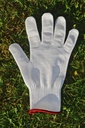  Gant anti-coupure taille M/8