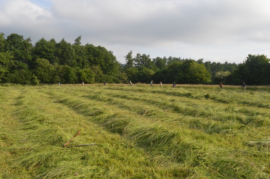 Training for scything instructors