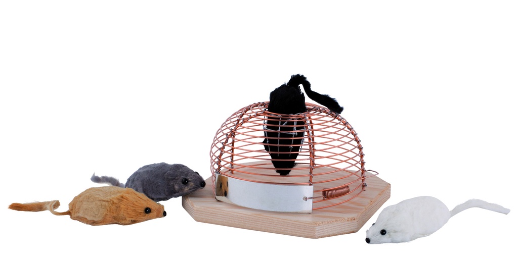 Piège à souris sans cruauté