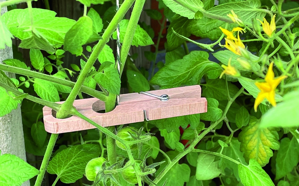 Plant clip