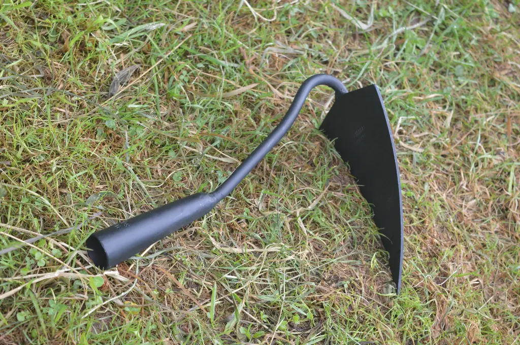 Triangular hoe without handle
