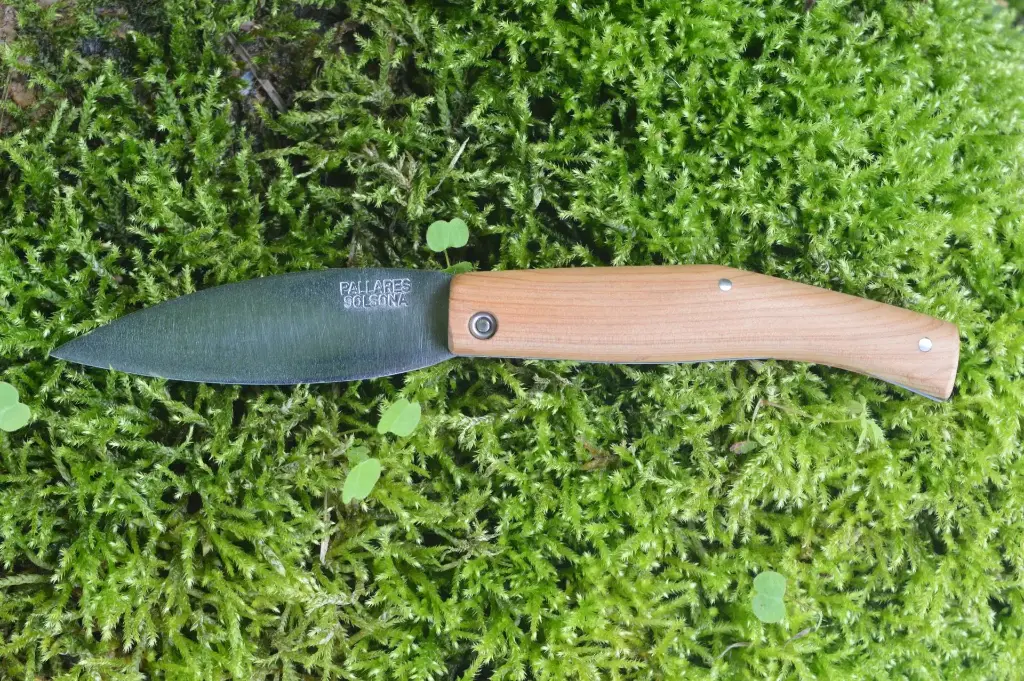 Busa juniper