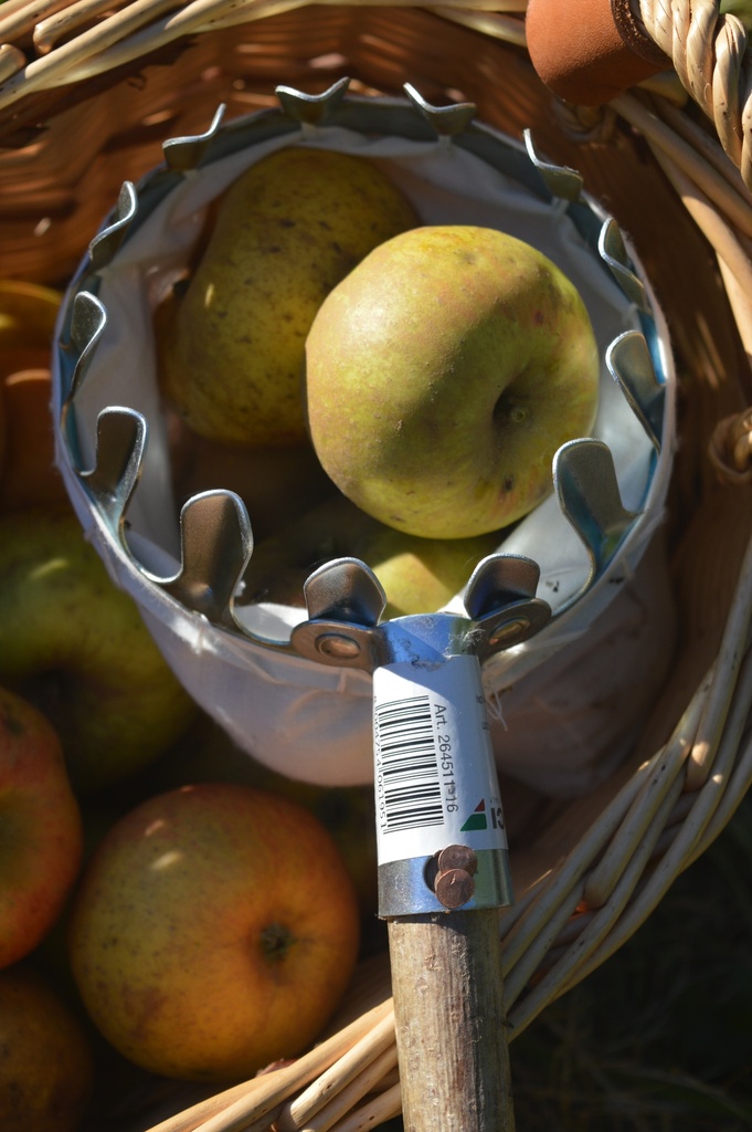 Cueille-fruits sans manche