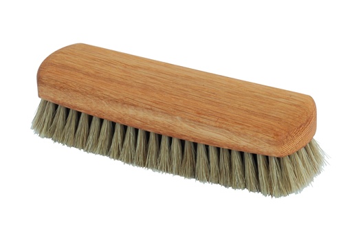 Shoe shine brush